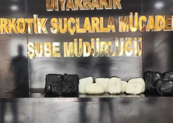 Diyarbakır Havalimanı’nda 11 kilo 400 gram skunk ele geçirildi