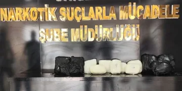 Diyarbakır Havalimanı’nda 11 kilo 400 gram skunk ele geçirildi