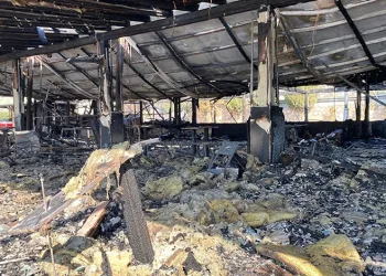 Van’da kaybolan Rojin 12 gündür aranıyor