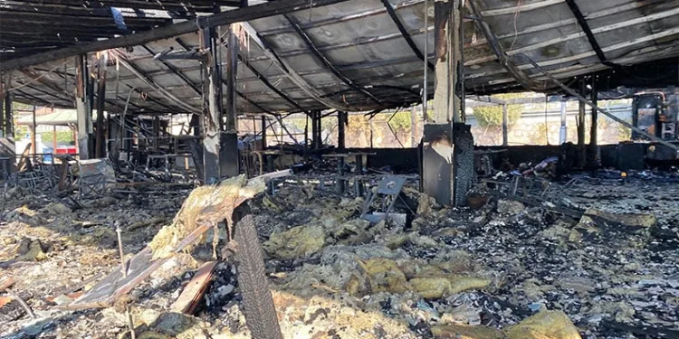 Van’da kaybolan Rojin 12 gündür aranıyor