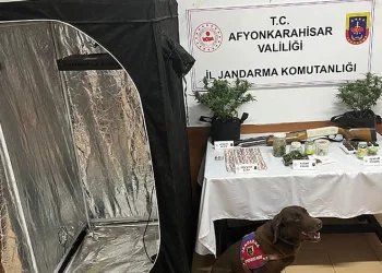 Şehit polis memuru Şeyda Yılmaz’a hakaret eden şahıs hakkında 7 yıl 7 ay hapis talebi
