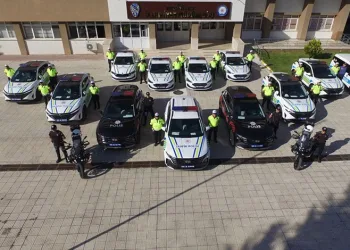 Dolandırıcılara eş zamanlı operasyon