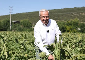 Sürdürülebilir tarım için ortak akıl buluşmaları