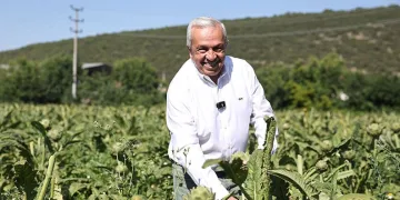 Sürdürülebilir tarım için ortak akıl buluşmaları