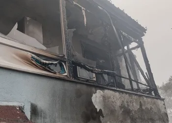 Ilısu Baraj Gölü kıyısında mahsur kalan Suriyeli aile kepçe yardımıyla kurtarıldı