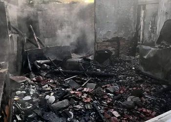 Jandarma şüpheli araçta silah ve uyuşturucu ele geçirdi: 5 gözaltı
