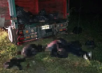 Meksika’da askerler kaçak göçmenlere ateş açtı: 6 ölü