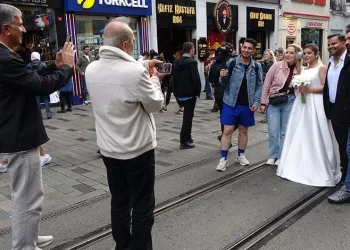 2 metrelik ölü yunus balığı sahile vurdu
