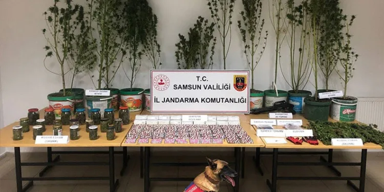 Sürekli kazanın olduğu yolda yine kaza