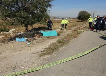 Kediye çarpıp öldü, cenazesi saatler sonra bulundu