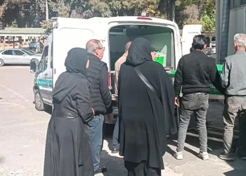 Çiftçinin zeytinine jandarma koruması