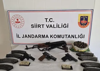 Cins köpekler jandarmayı geçemedi