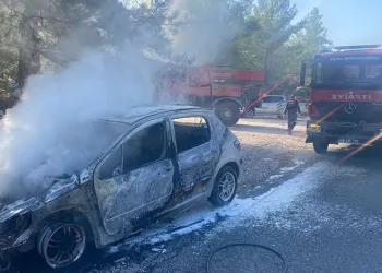 On ay önce mantar toplarken kaybolan yaşlı adamı komando timleri arayacak