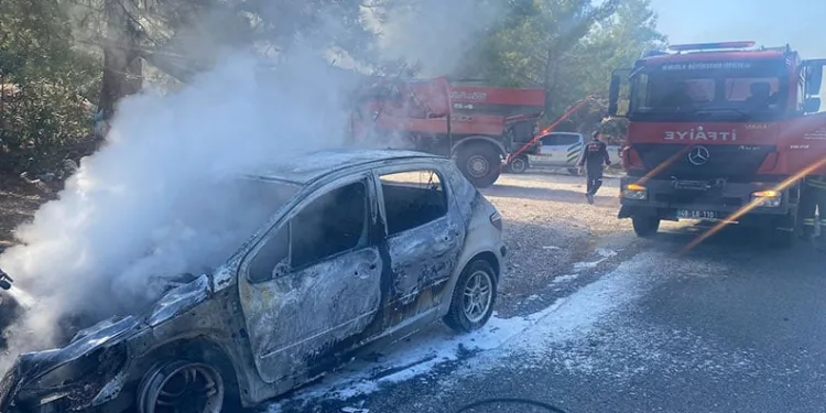On ay önce mantar toplarken kaybolan yaşlı adamı komando timleri arayacak