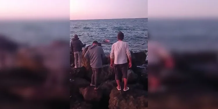Kaybolan 16 yaşındaki kız çocuğu her yerde aranıyor