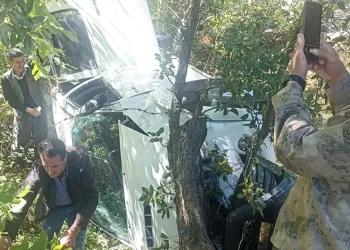 Kamyonet şarampole yuvarlandı: 1 yaralı