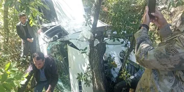 Kamyonet şarampole yuvarlandı: 1 yaralı