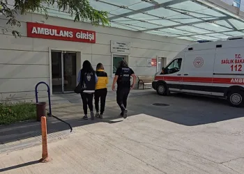 Antalya’da kaçak sigara operasyonu