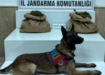 Uşak’ta inşaat erkek cesedi bulundu