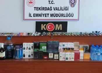 Uyuşturucu operasyonunda tırda 345 kilo skunk ele geçirildi