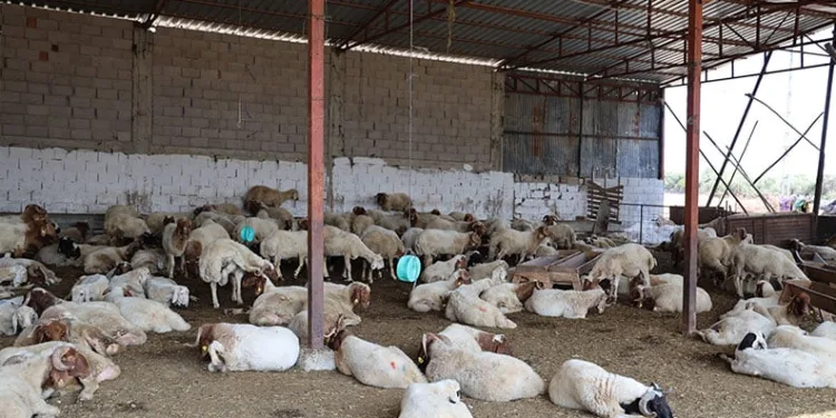 Elazığ’da otomobil takla attı: 1 yaralı