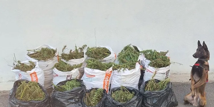 Baraj gölünde boğulan çocuk toprağa verildi
