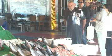 Balık tezgahlarında son 3-4 senenin en bol palamut sezonu yaşanıyor