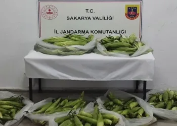 İnşaat malzemelerini çalan şahıs yakalandı