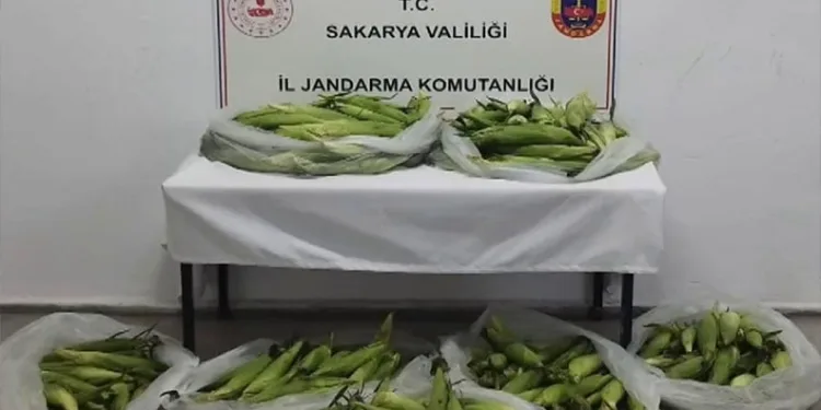 İnşaat malzemelerini çalan şahıs yakalandı