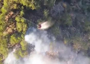 Sarp arazide devam eden orman yangınında alevlerle mücadele sürüyor
