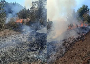 Erzurum polisinden FETÖ operasyonu