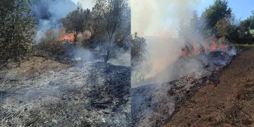 Erzurum polisinden FETÖ operasyonu
