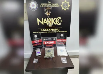 Cins köpekler jandarmayı geçemedi