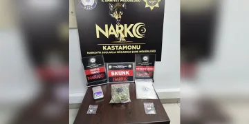Cins köpekler jandarmayı geçemedi