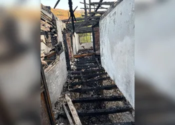 İstanbul’da sahte pasaport şebekesi çökertildi: 13 gözaltı