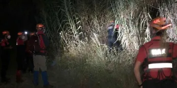 Samsun’da 5 gündür kayıp kadın ormanda ölü bulundu