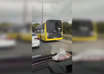 İETT otobüsü kuralları hiçe saydı, emniyet şeridinden böyle ilerledi
