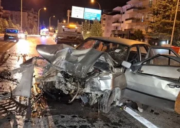 Gözüne kestirdiği çiçeği kökleriyle götürdü