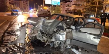 Gözüne kestirdiği çiçeği kökleriyle götürdü