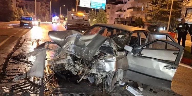 Gözüne kestirdiği çiçeği kökleriyle götürdü