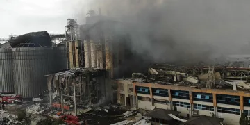 Van’da kaybolan Rojin 12 gündür aranıyor