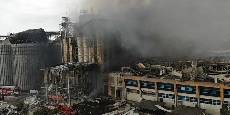 Van’da kaybolan Rojin 12 gündür aranıyor