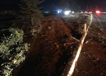 Dolandırıcılara eş zamanlı operasyon