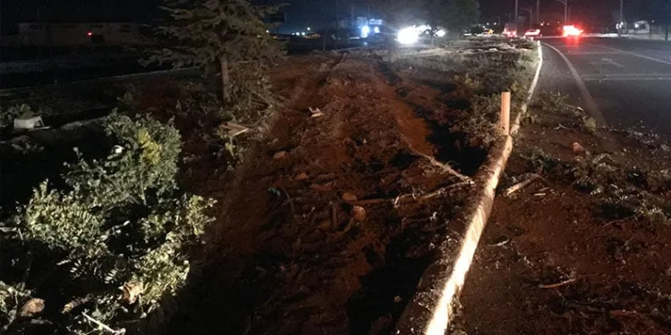 Dolandırıcılara eş zamanlı operasyon
