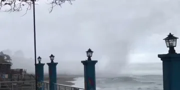 Vali yardımcısının oğlunun katil zanlısı dolandırıcılık çetesinin üyesi çıktı