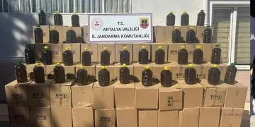Uyuşturucu tacirleri ‘Mia’nın burnuna takıldı