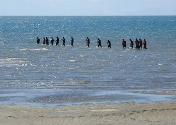 Van’da Rojin dört bir koldan aranıyor
