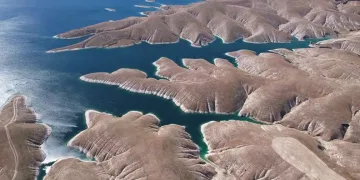 Dev fare insanların üzerine atladı