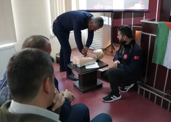 Mardin’de hafif ticari araç devrildi: 1 yaralı