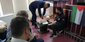 Mardin’de hafif ticari araç devrildi: 1 yaralı